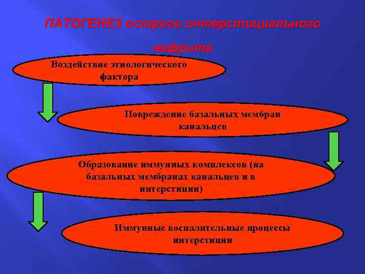 ПАТОГЕНЕЗ острого интерстициального нефрита Воздействие этиологического фактора Повреждение базальных мембран канальцев Образование иммунных комплексов