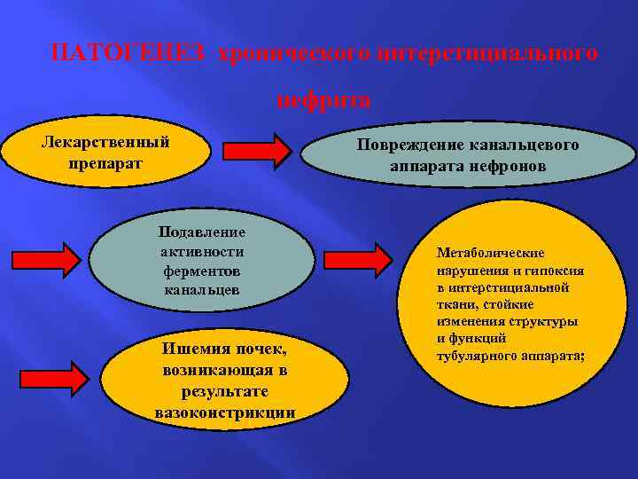 ПАТОГЕНЕЗ хронического интерстициального нефрита Лекарственный препарат Подавление активности ферментов канальцев Ишемия почек, возникающая в