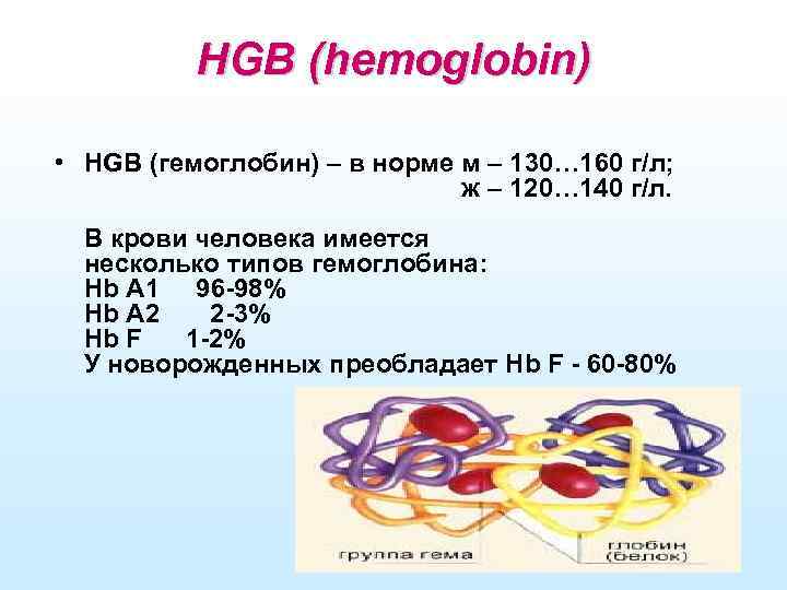 HGB (hemoglobin) • HGB (гемоглобин) – в норме м – 130… 160 г/л; ж