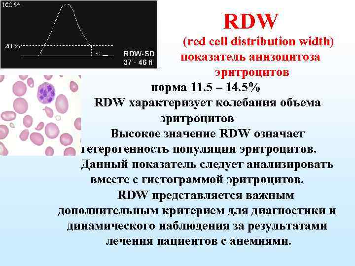 Rdw cv повышены. Показатель кровь RDW В анализе норма. Red Cell distribution width в анализе крови. RDW-CV В анализе крови что это такое. Показатель распределения эротроцитов по объёму.