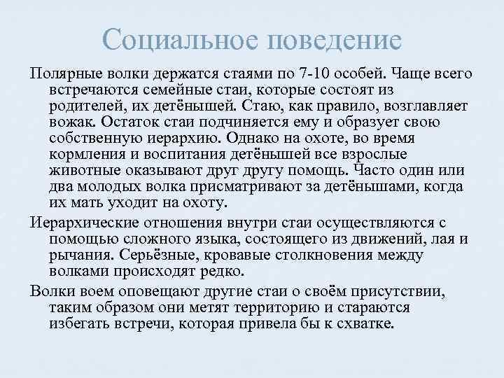 Социальное поведение Полярные волки держатся стаями по 7 -10 особей. Чаще всего встречаются семейные