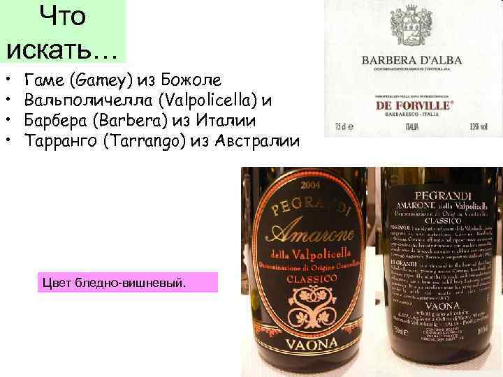 Что искать… • • Гаме (Gamey) из Божоле Вальполичелла (Valpolicella) и Барбера (Barbera) из