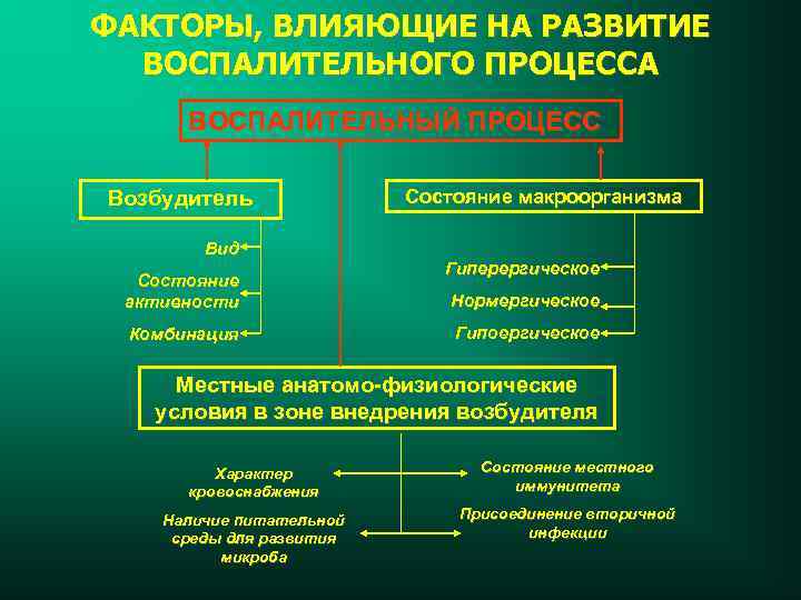 Развитие воспаления