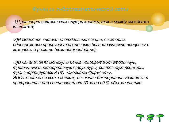 Функции эндоплазматической сети 1)Транспорт веществ как внутри клетки, так и между соседними клетками; 2)Разделение