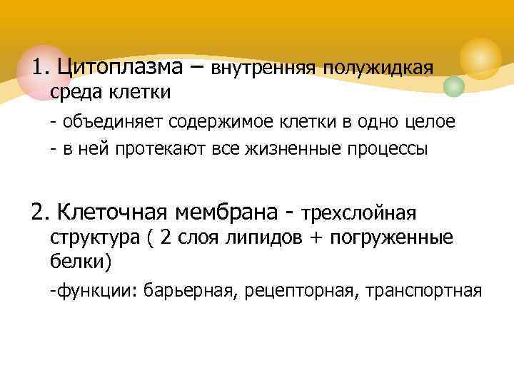 Внутреннее содержимое клетки полу. Жидкое содержимое клетки. Циклоз цитоплазмы. Клетки. Синквейн клетка.