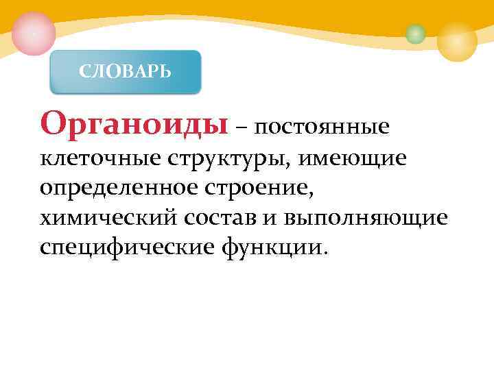 СЛОВАРЬ Органоиды – постоянные клеточные структуры, имеющие определенное строение, химический состав и выполняющие специфические
