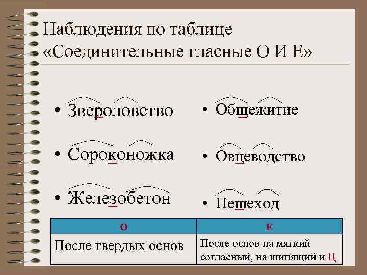 Наблюдения по таблице «Соединительные гласные О И Е» • Звероловство • Общежитие • Сороконожка