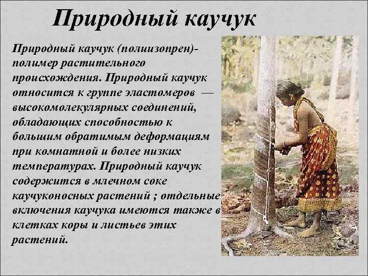 Природный каучук (полиизопрен)полимер растительного происхождения. Природный каучук относится к группе эластомеров — высокомолекулярных соединений,