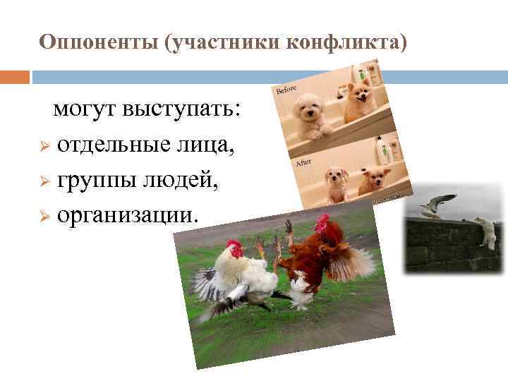 Оппоненты (участники конфликта) могут выступать: Ø отдельные лица, Ø группы людей, Ø организации. 