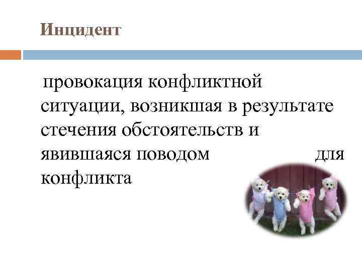 Инцидент провокация конфликтной ситуации, возникшая в результате стечения обстоятельств и явившаяся поводом для конфликта