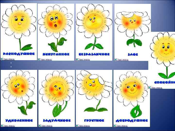  • • • • • • • • • • • 