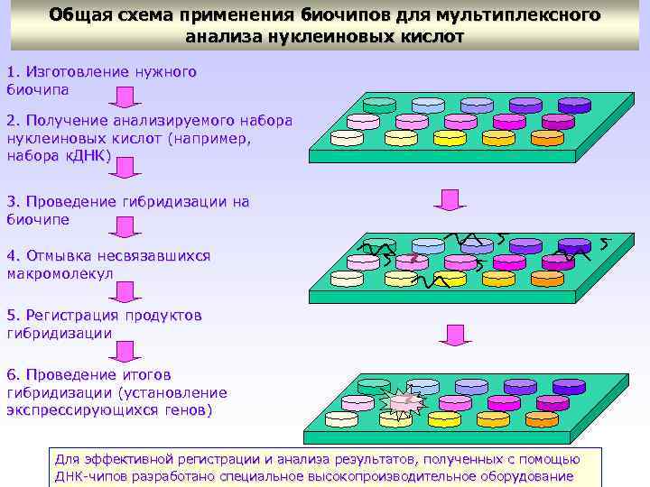 Общая схема применения математики