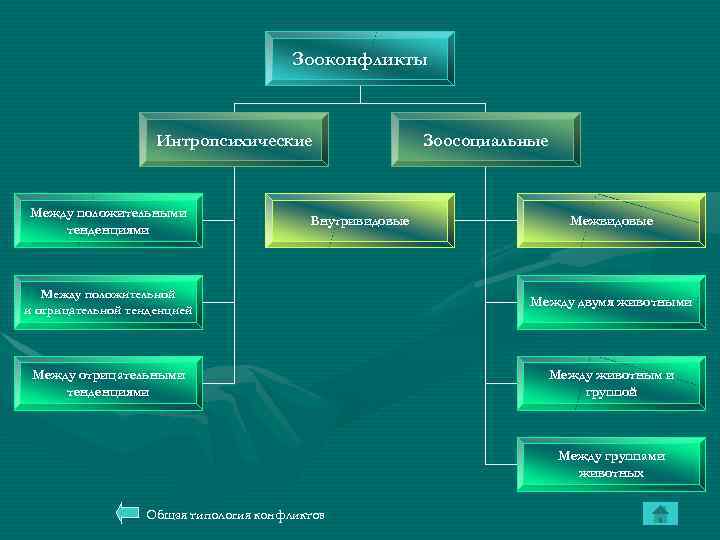 Зооконфликты Интропсихические Между положительными тенденциями Внутривидовые Зоосоциальные Межвидовые Между положительной и отрицательной тенденцией Между