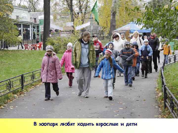 ПР В зоопарк любят ходить взрослые и дети 