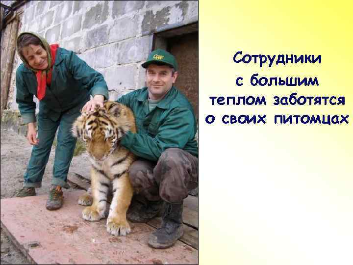 ПР Сотрудники с большим теплом заботятся о своих питомцах 