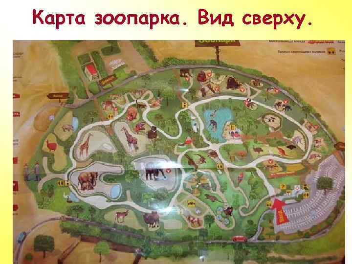 Московский зоопарк вид сверху