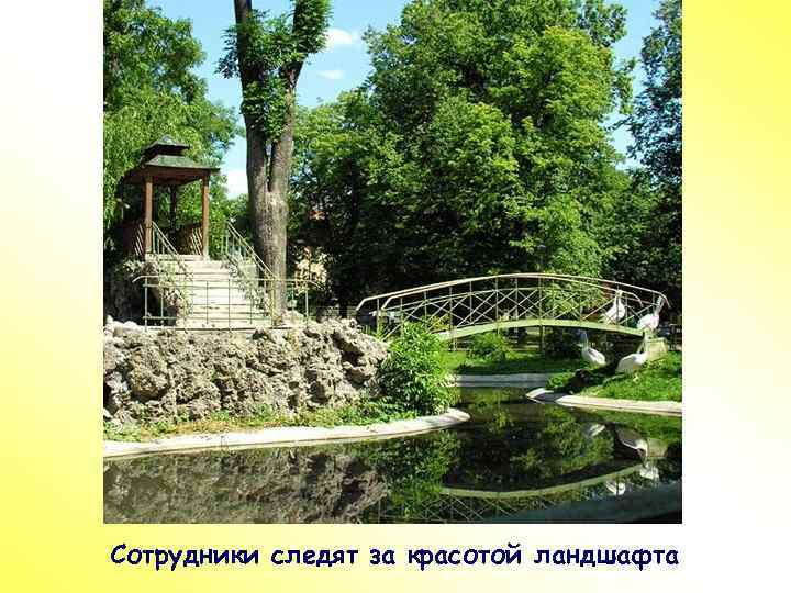 ПР Сотрудники следят за красотой ландшафта 