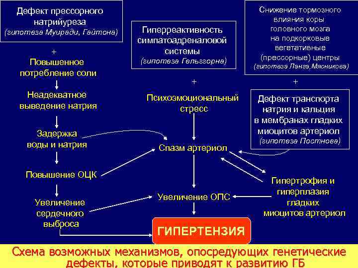 Дефект прессорного натрийуреза (гипотеза Муиради, Гайтона) + Повышенное потребление соли Гиперреактивность симпатоадреналовой системы (гипотеза