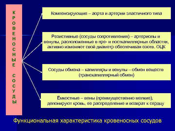 Гипертекстовая или гипермедиа система размещенная на сервере или компакт диске это