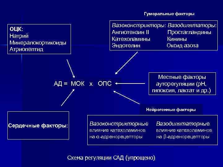 Гуморальные факторы Вазоконстрикторы: Вазодилятаторы: Ангиотензин II Простагландины Катехоламины Кинины Эндотелин Оксид азота ОЦК: Натрий