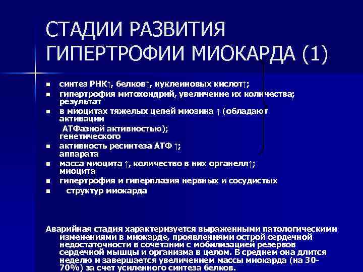 СТАДИИ РАЗВИТИЯ ГИПЕРТРОФИИ МИОКАРДА (1) n n n n синтез РНК↑, белков↑, нуклеиновых кислот↑;