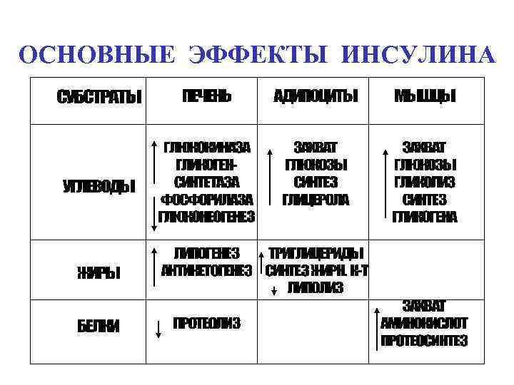 ОСНОВНЫЕ ЭФФЕКТЫ ИНСУЛИНА 