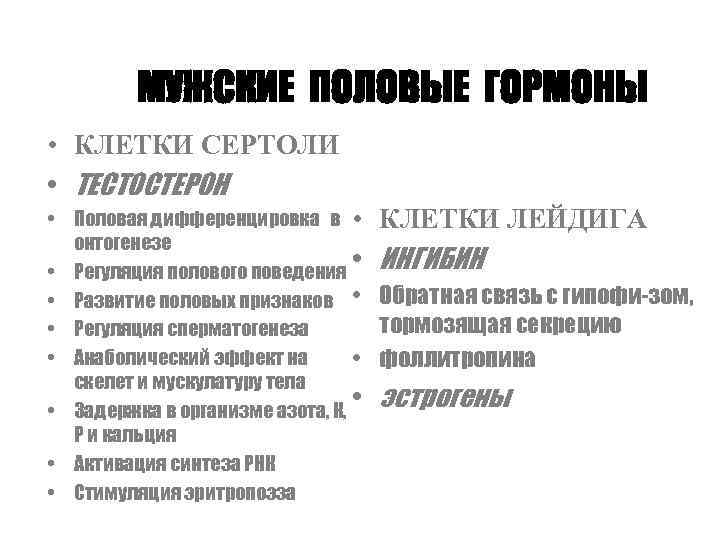 МУЖСКИЕ ПОЛОВЫЕ ГОРМОНЫ • КЛЕТКИ СЕРТОЛИ • ТЕСТОСТЕРОН • Половая дифференцировка в • КЛЕТКИ