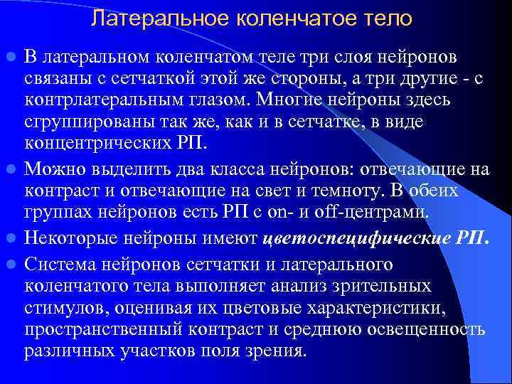 Латеральное коленчатое тело В латеральном коленчатом теле три слоя нейронов связаны с сетчаткой этой