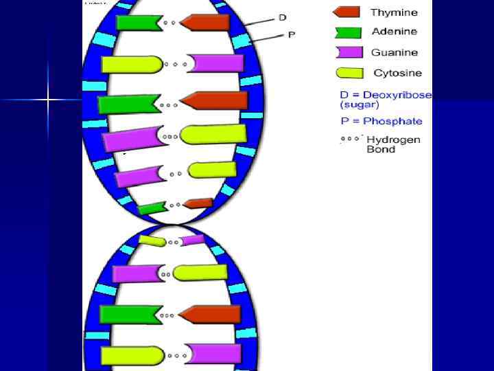 Принцип комплиментарности 