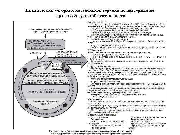 Циклический алгоритм интенсивной терапии по поддержанию сердечно-сосудистой деятельности 