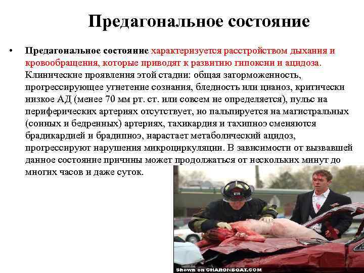 Предагональное состояние • Предагональное состояние характеризуется расстройством дыхания и кровообращения, которые приводят к развитию