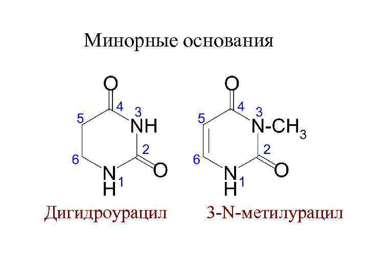 Метилурацил при анемии схема