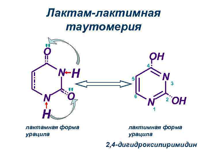 Молекула урацила