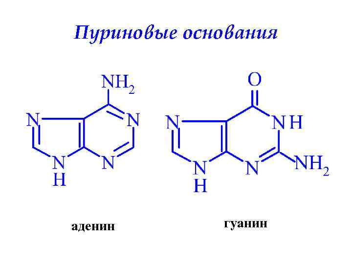 Днк аденин гуанин