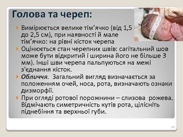 Голова та череп: Вимірюється велике тім’ячко (від 1, 5 до 2, 5 см), при