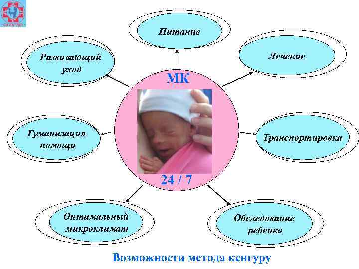 Питание Лечение Развивающий уход МК Гуманизация помощи Транспортировка 24 / 7 Оптимальный микроклимат Обследование