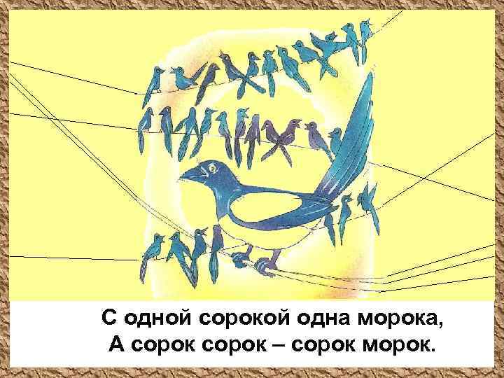 С одной сорокой одна морока, А сорок – сорок морок. 