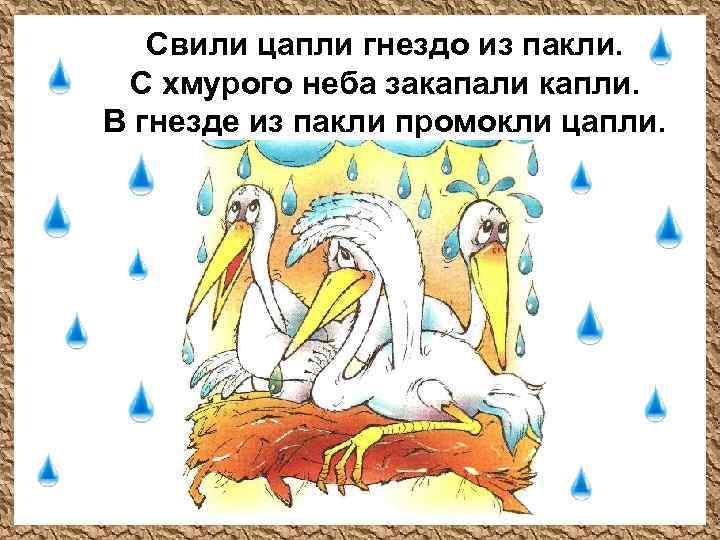 Свили цапли гнездо из пакли. С хмурого неба закапали капли. В гнезде из пакли