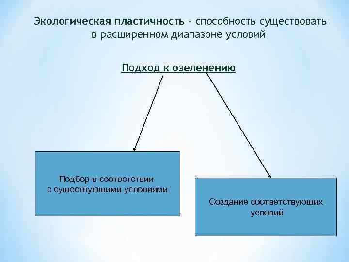 Экологическая пластичность - способность существовать в расширенном диапазоне условий Подход к озеленению Подбор в