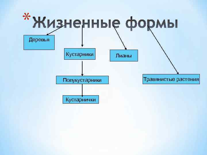 * Деревья Кустарники Полукустарники Кустарнички Лианы Травянистые растения 
