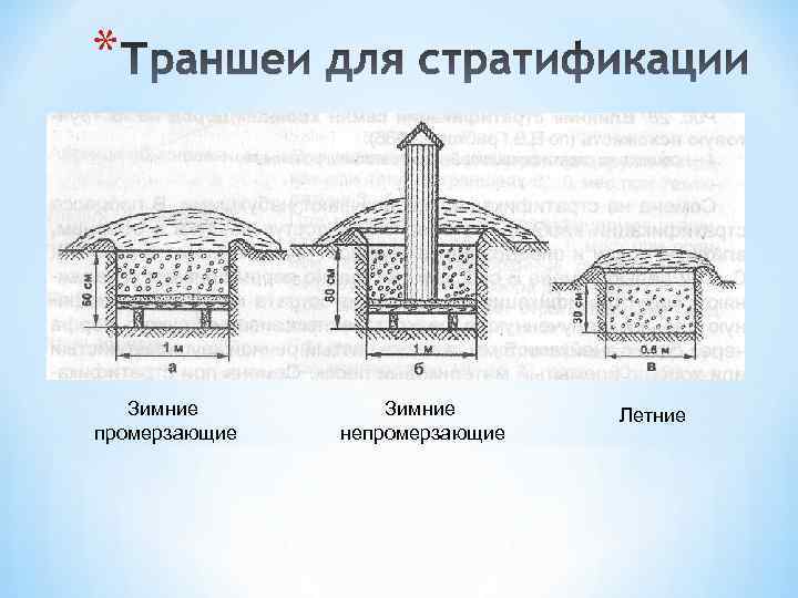 * Зимние промерзающие Зимние непромерзающие Летние 
