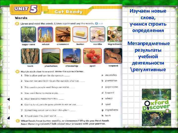 Изучаем новые слова, учимся строить определения Метапредметные результаты учебной деятельности регулятивные 