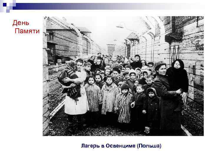 День Памяти Лагерь в Освенциме (Польша) 