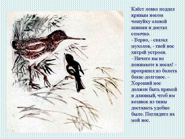 Клёст ловко поддел кривым носом чешуйку еловой шишки и достал семечко. - Верно, -