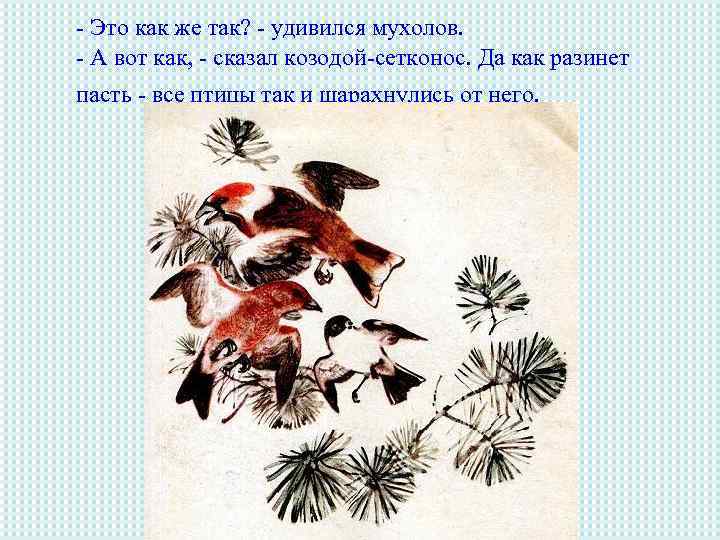 - Это как же так? - удивился мухолов. - А вот как, - сказал