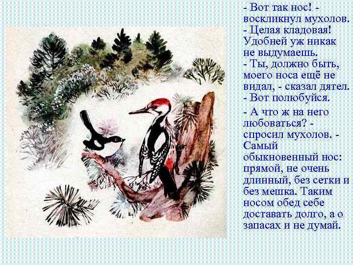 - Вот так нос! воскликнул мухолов. - Целая кладовая! Удобней уж никак не выдумаешь.