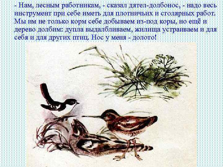 - Нам, лесным работникам, - сказал дятел-долбонос, - надо весь инструмент при себе иметь