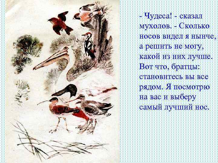 - Чудеса! - сказал мухолов. - Сколько носов видел я нынче, а решить не