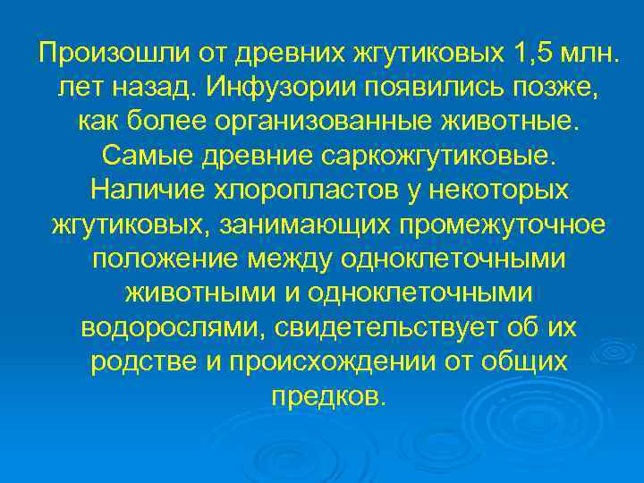 Произошли от древних жгутиковых 1, 5 млн. лет назад. Инфузории появились позже, как более