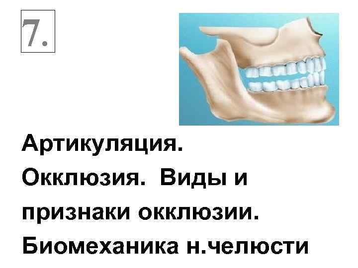 Признаки окклюзии. Артикуляция окклюзия прикус. Понятия окклюзия, артикуляция, прикус.. Артикуляция и окклюзия виды. Артикуляция и окклюзия виды окклюзии.